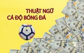 Các Thuật Ngữ Cá Cược & Cách Cá Độ Bóng Đá
